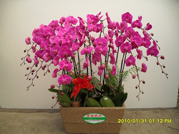 20151230025540949